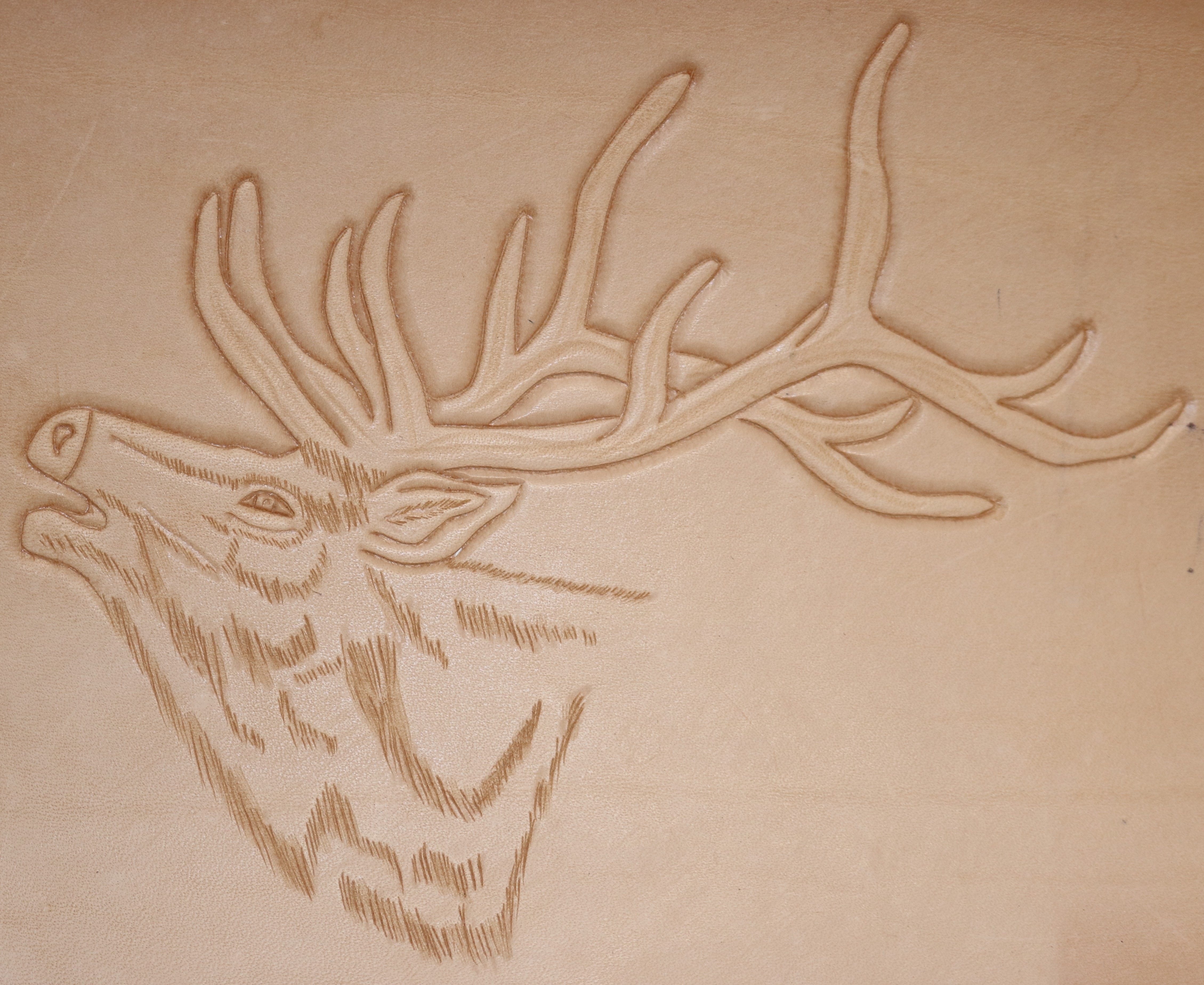 Head of a Deer Carving
