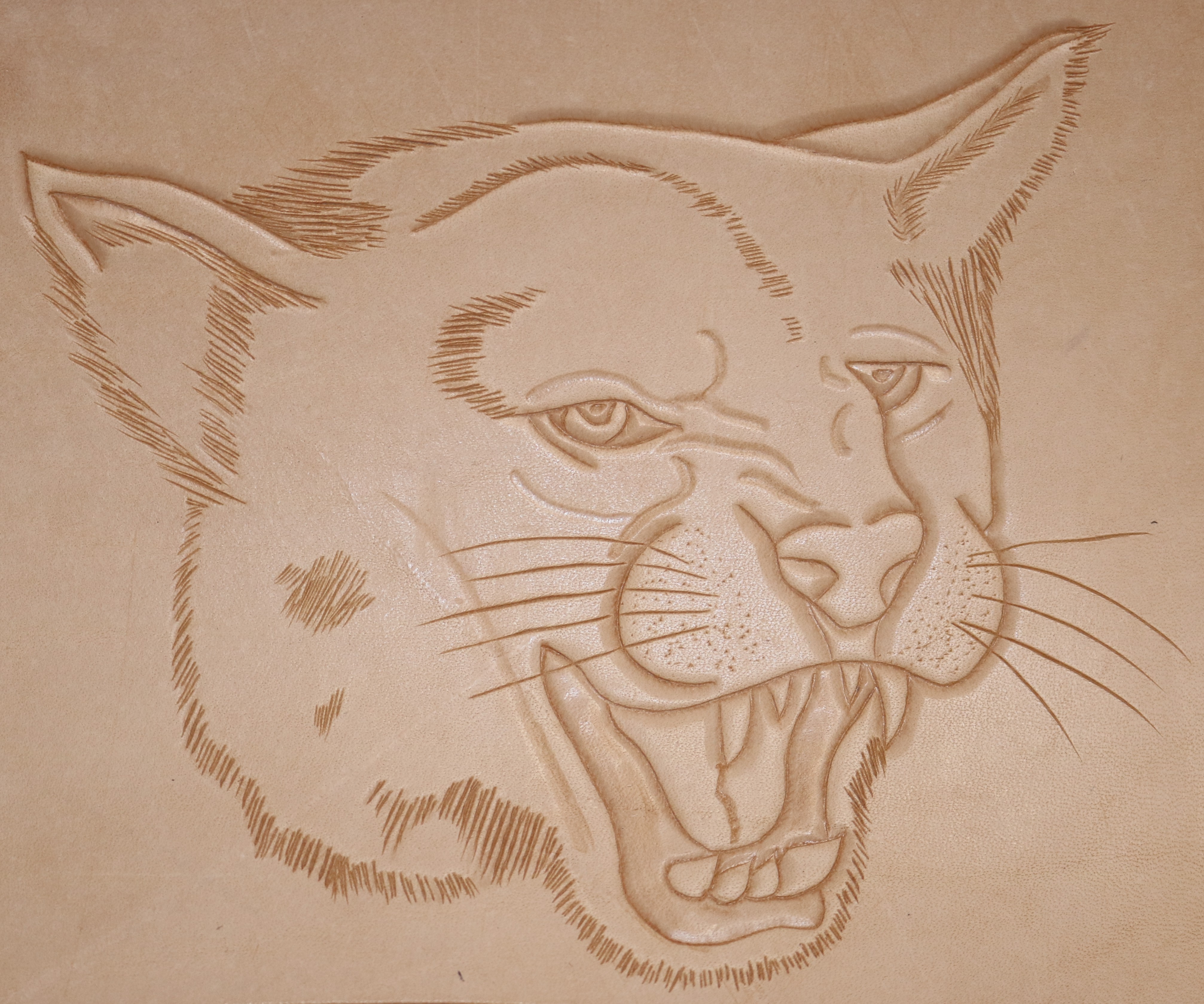 Head of a Puma Carving