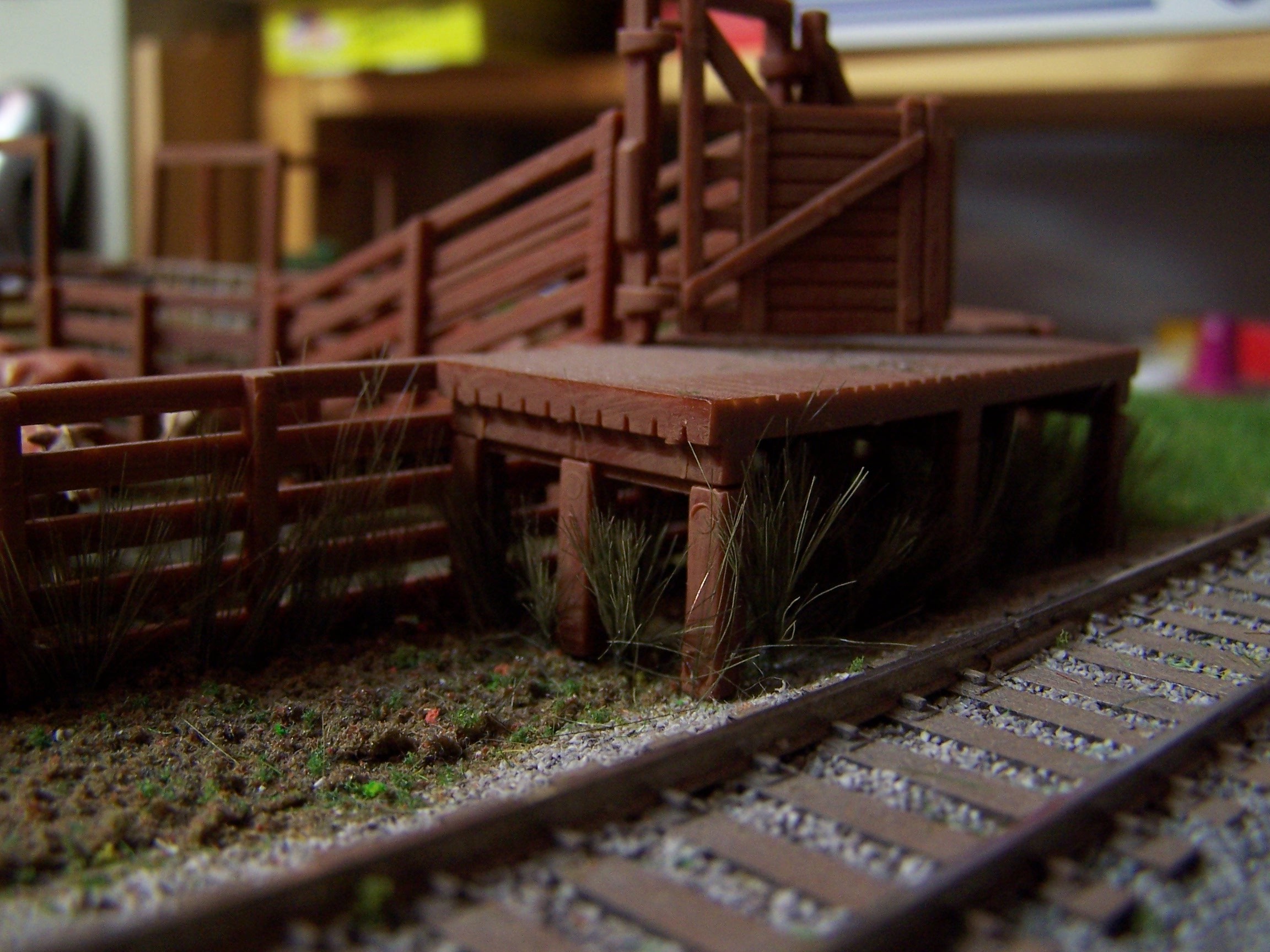 Picture of hair grass under the cattle loading platform
