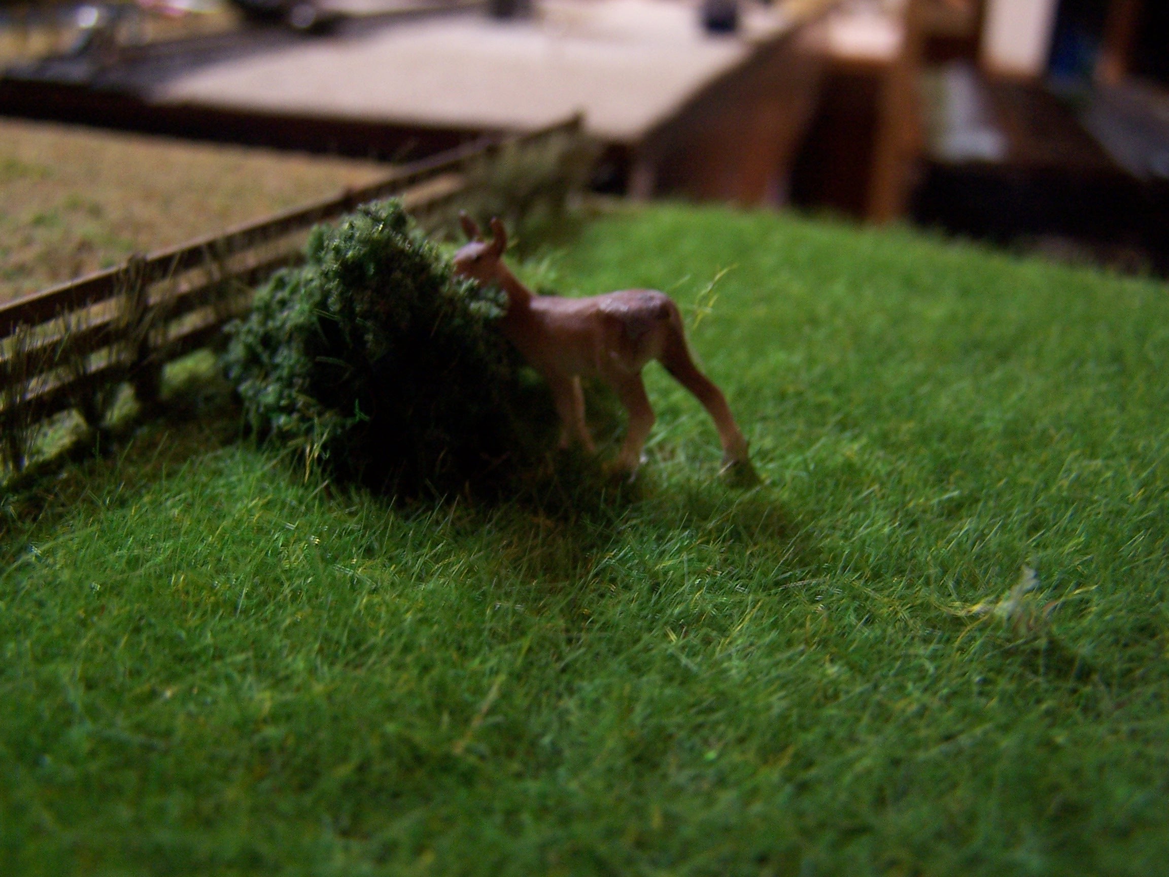 Picture of deer in green meadow of static grass