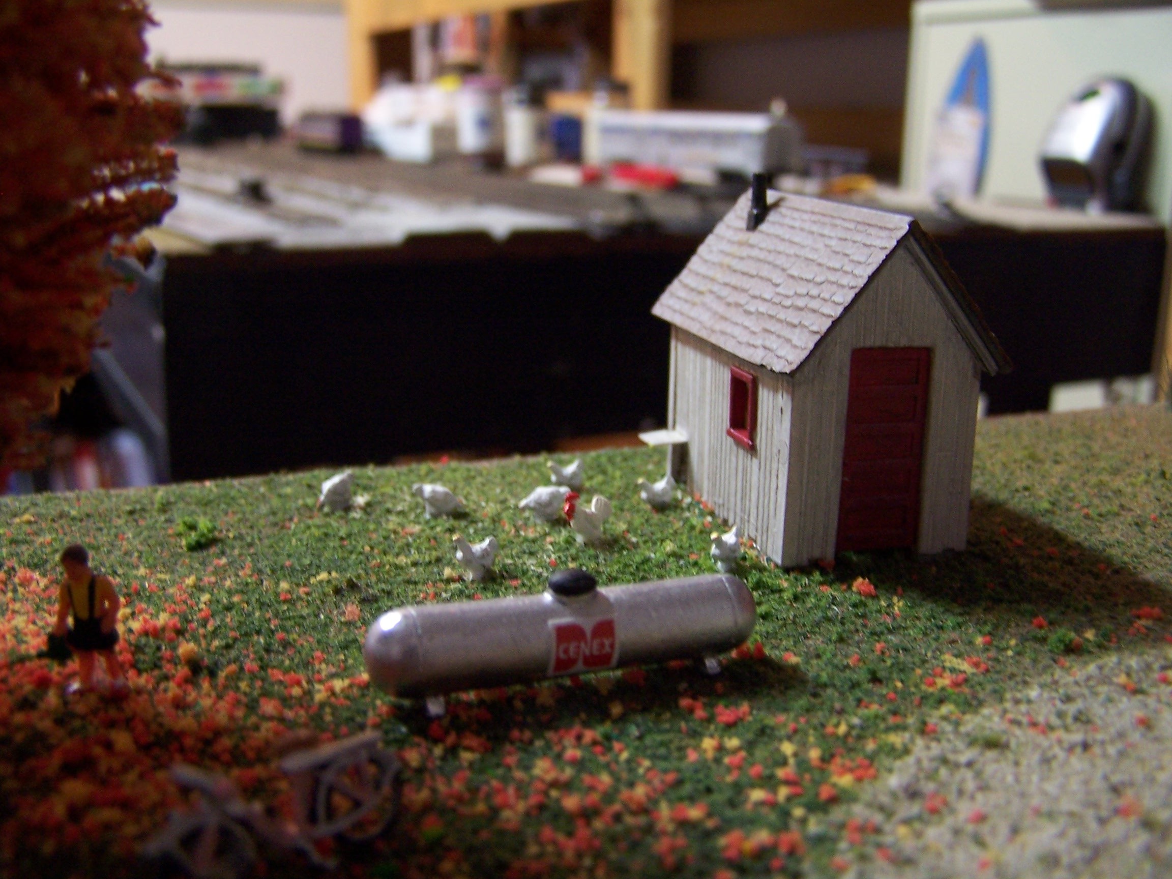 Picture of chickens foraging in yard