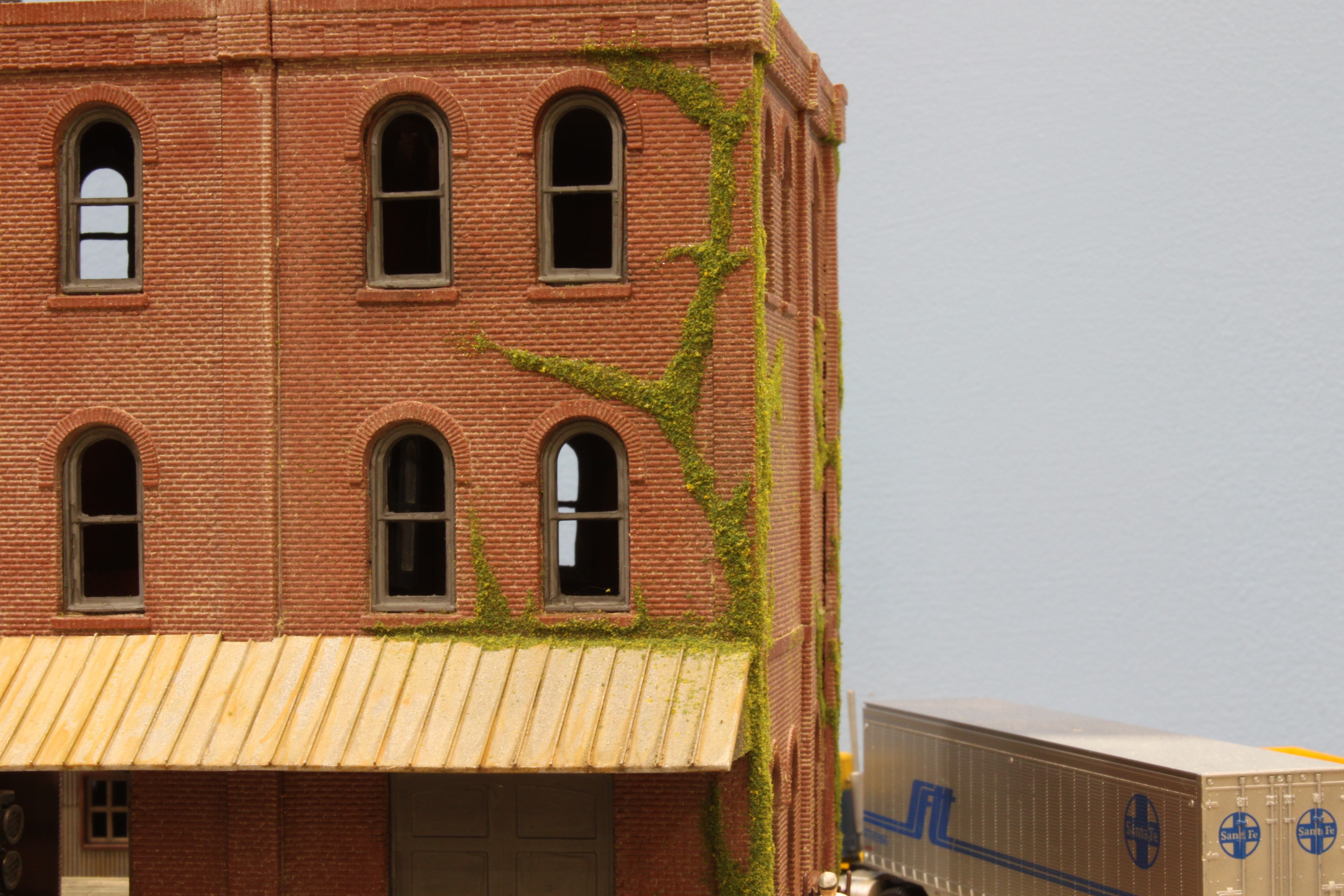 Closeup picture of the ivy