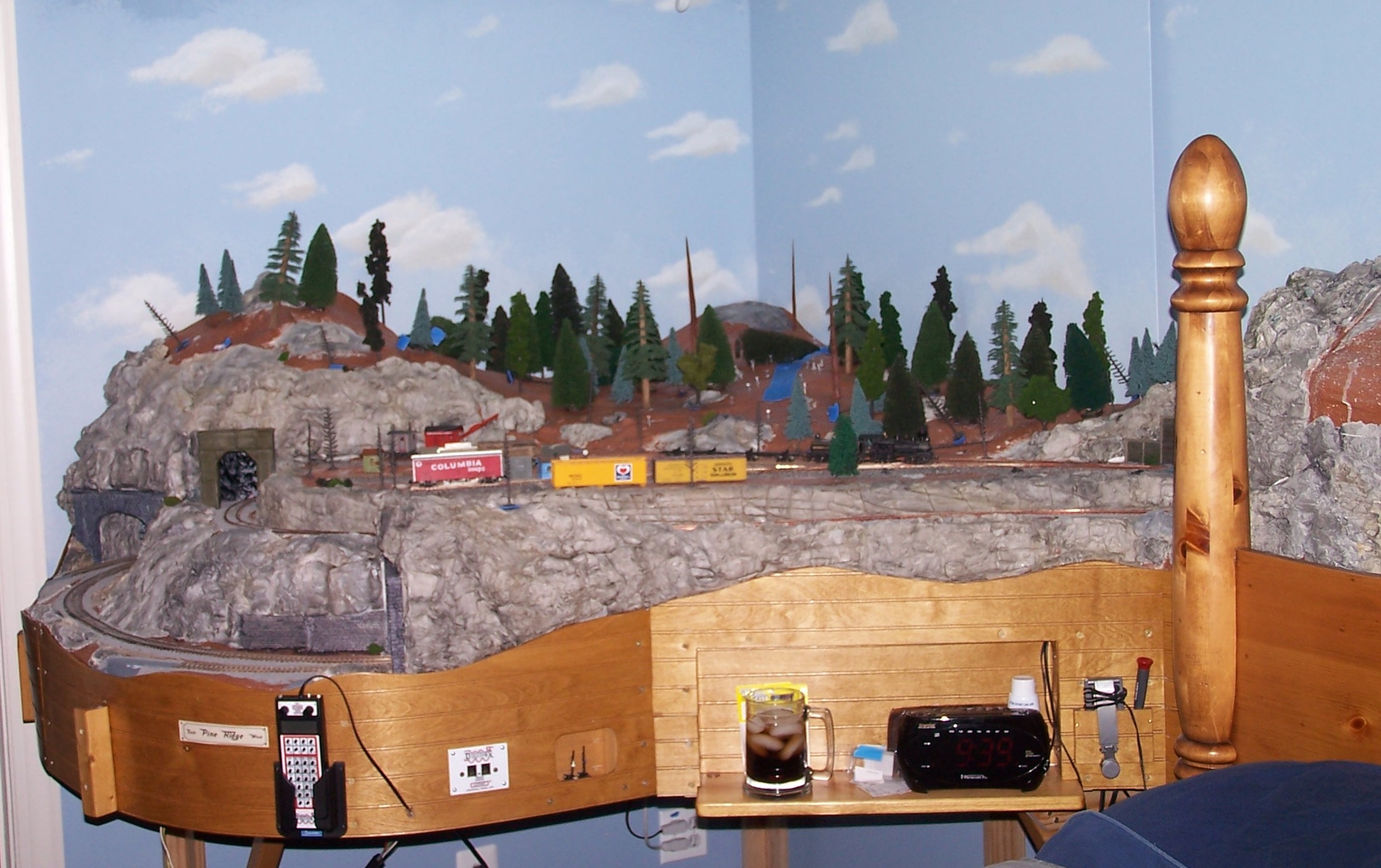 Picture of Fraser Logging Camp