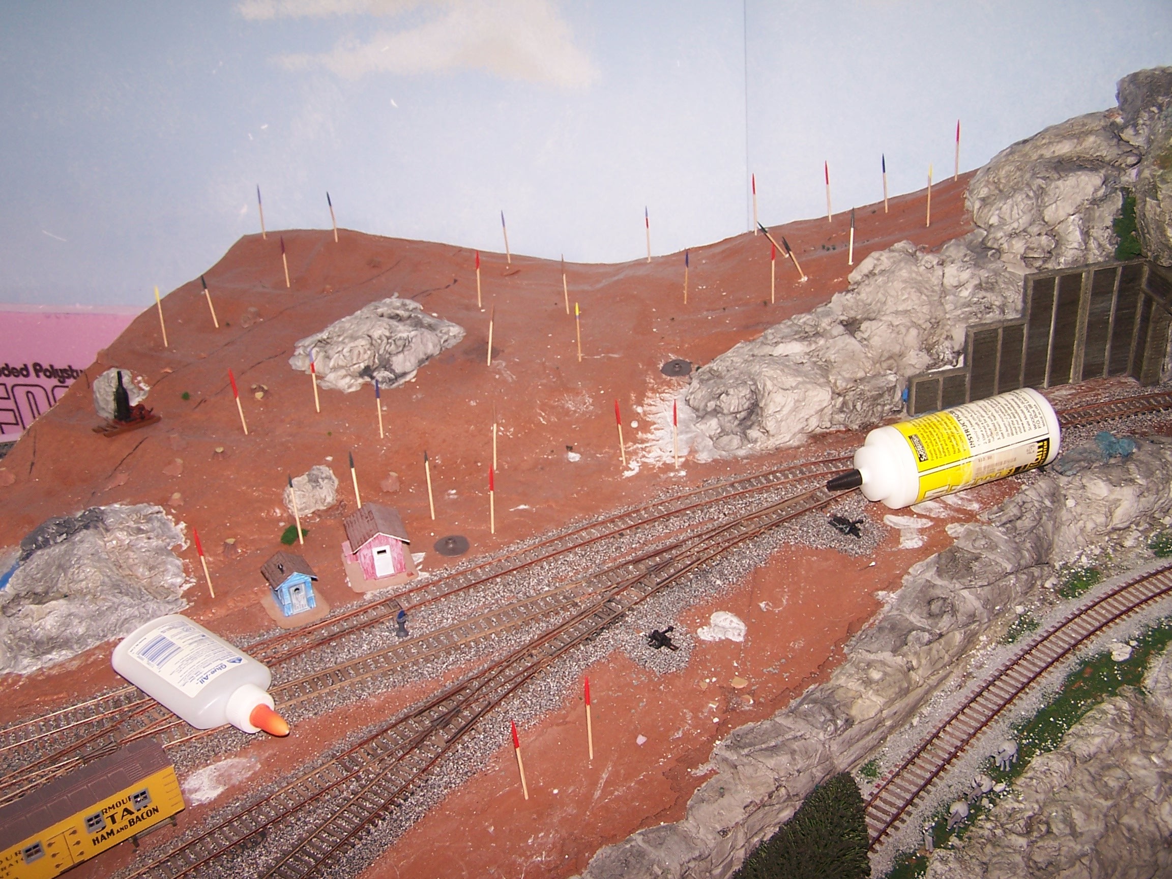 Picture of colored toothpicks marking where trees go