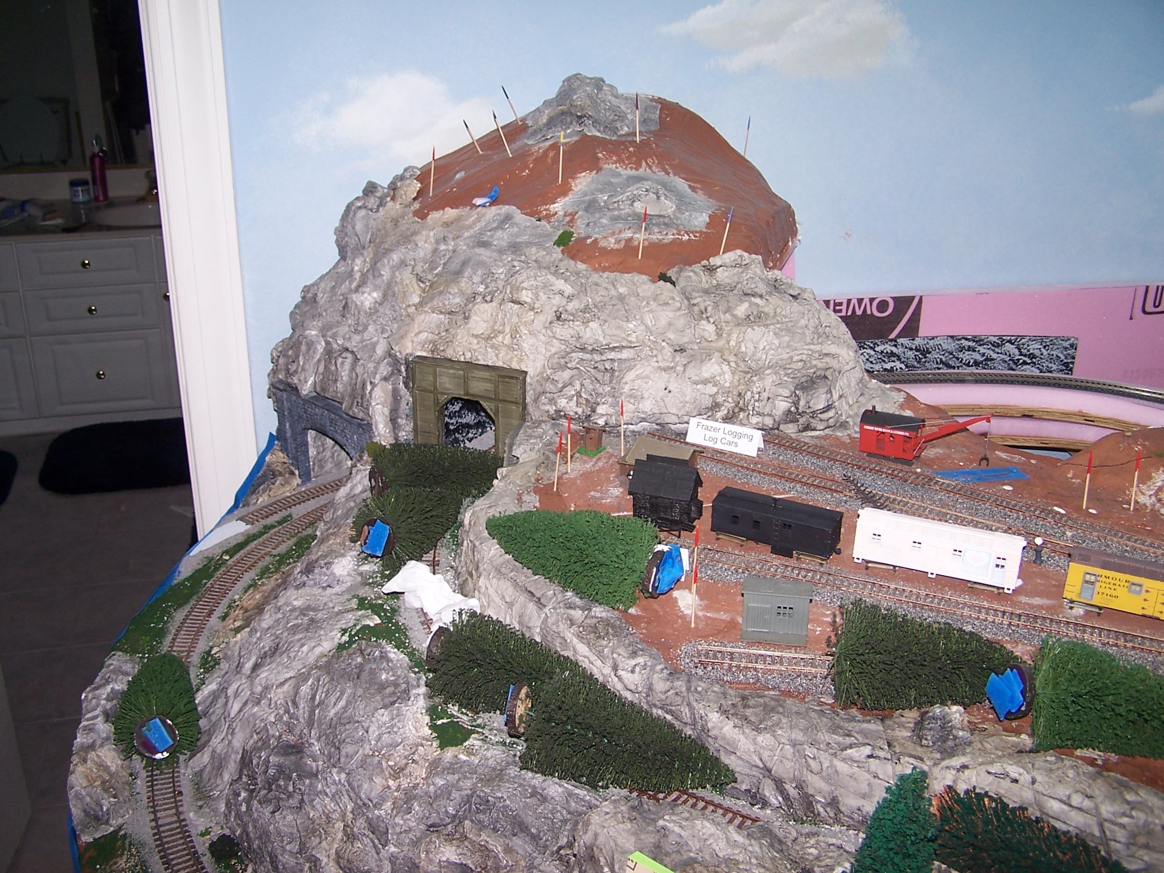 Picture of colored toothpicks marking where trees go