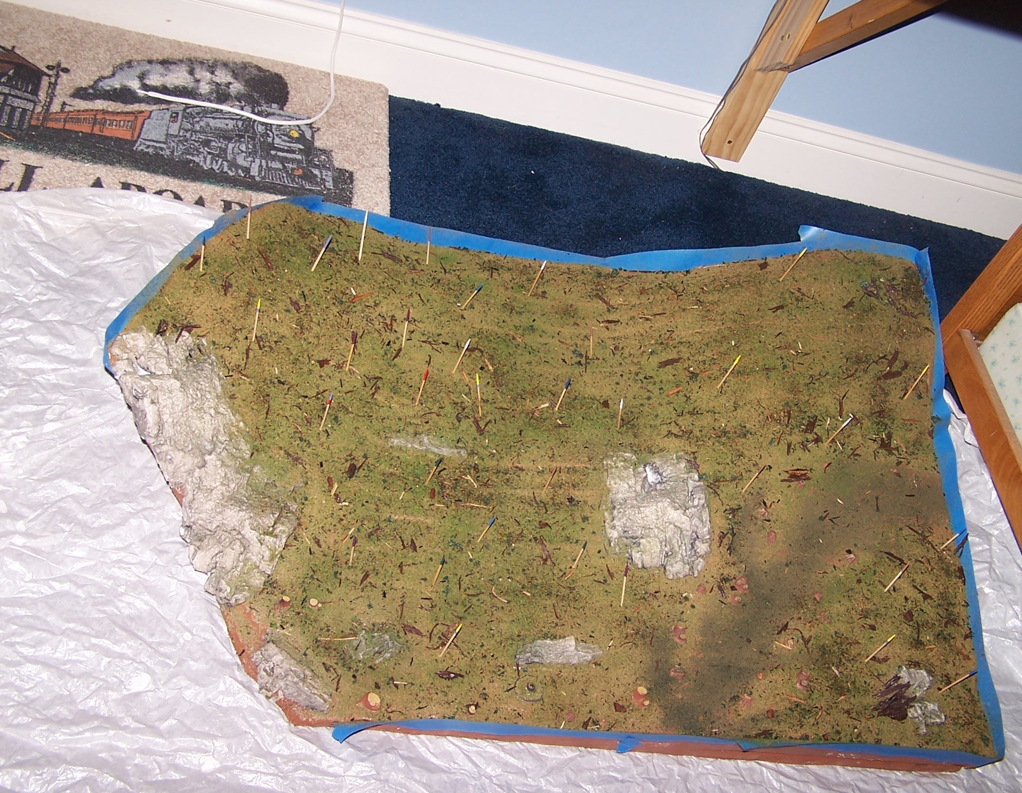 Picture of forest floor