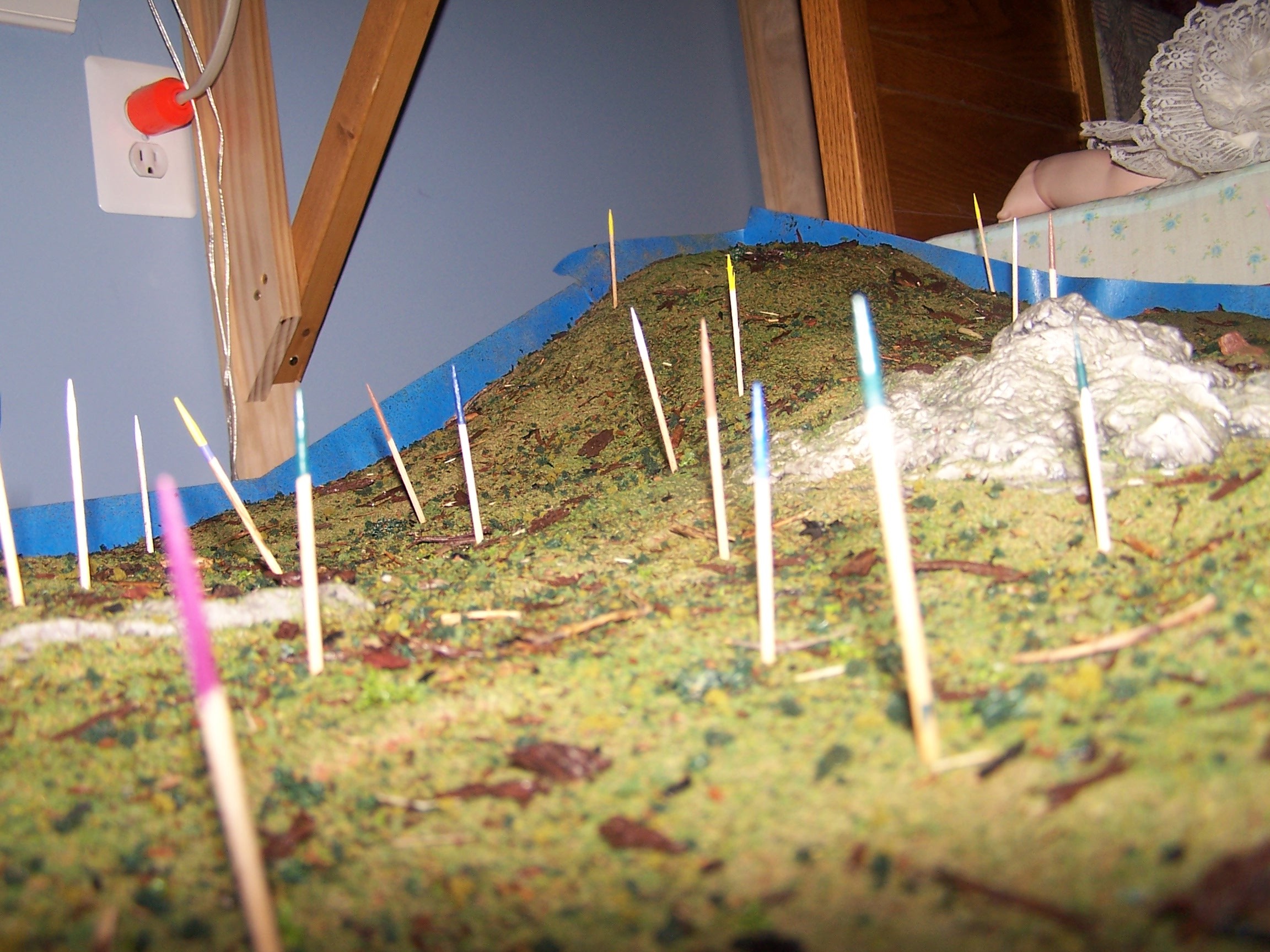 Picture of forest floor