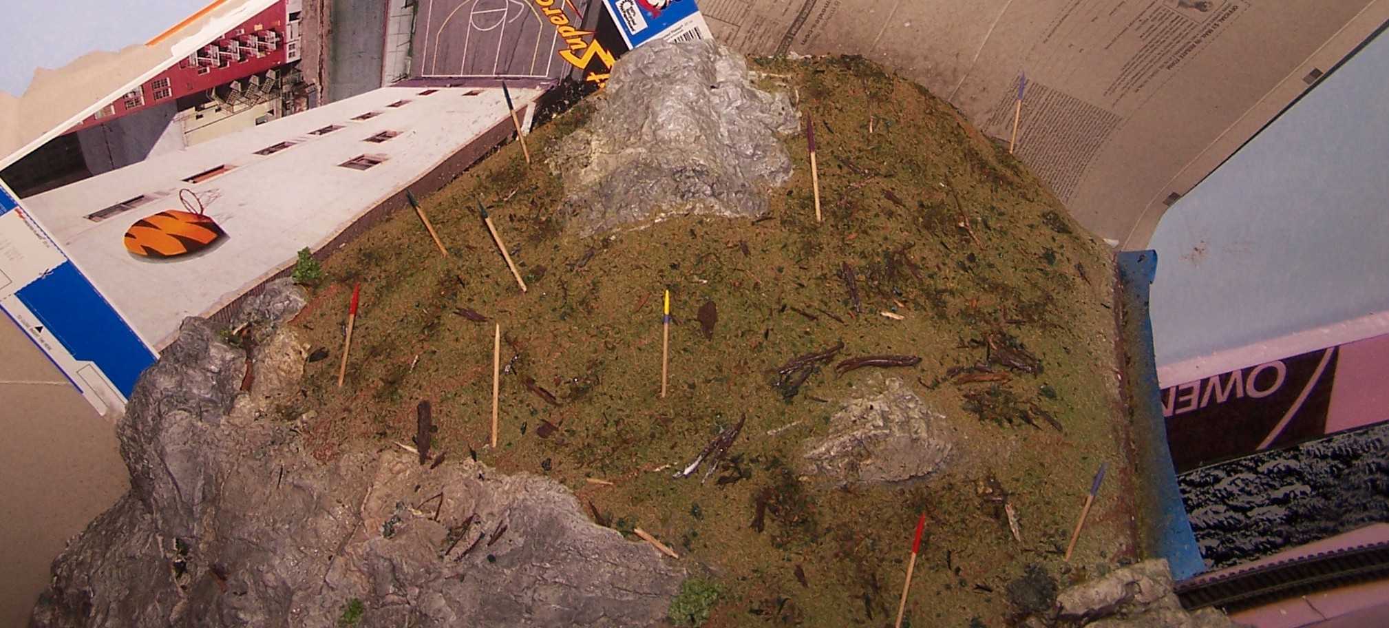 Picture of mountain top with simulated deadwood piles