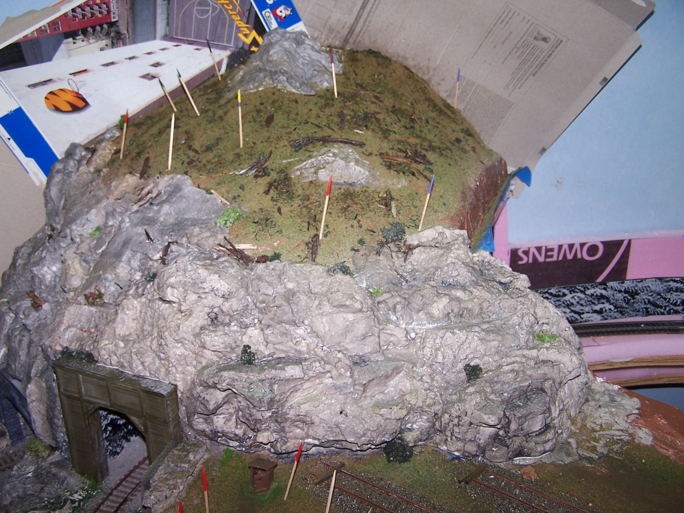 Picture of mountain top with simulated deadwood piles