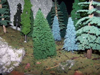 Picture of forest