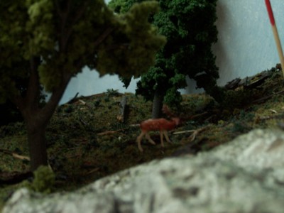 Picture of elk