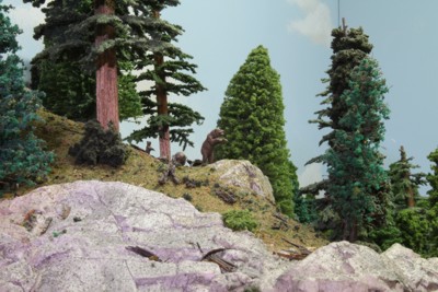Picture of bears