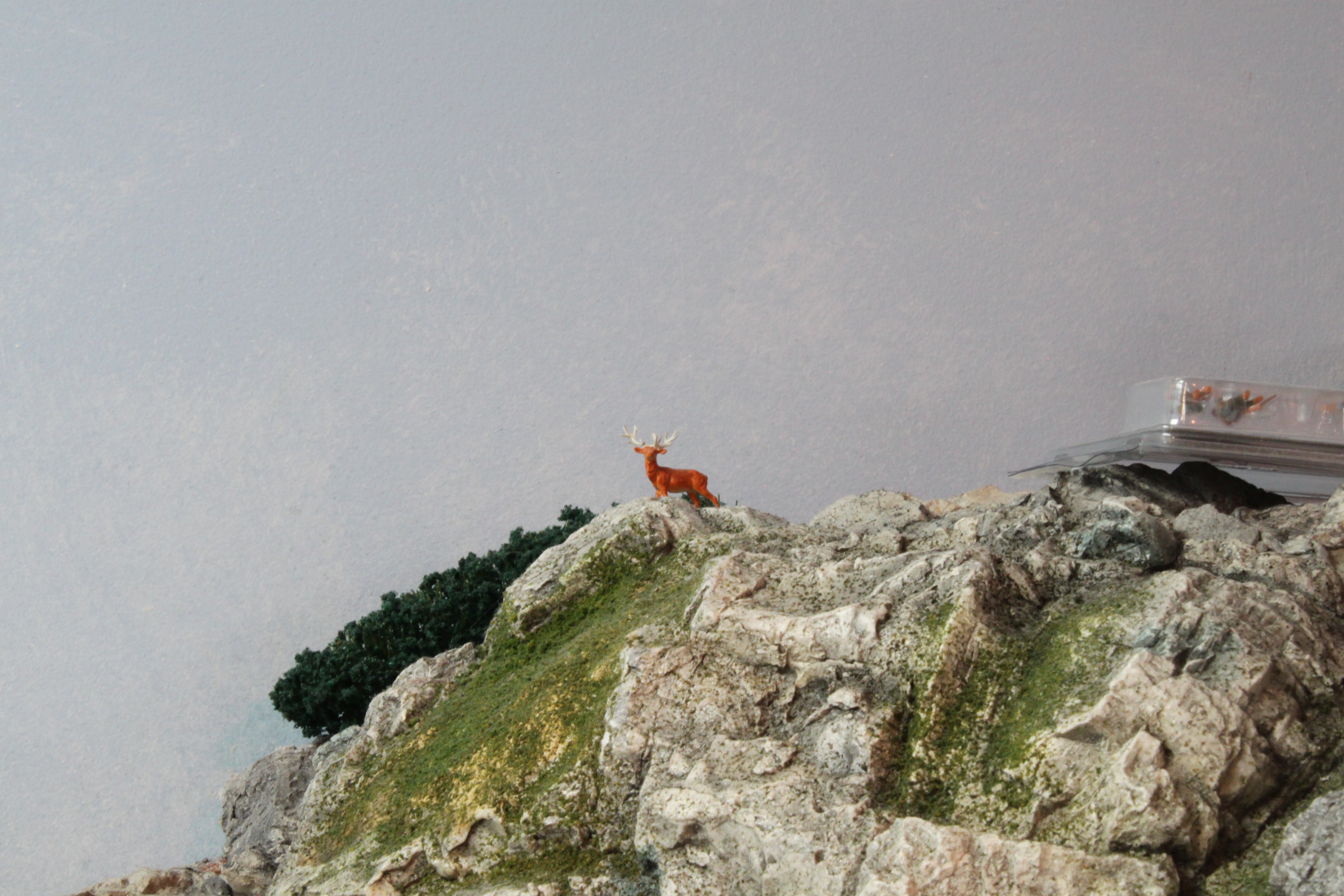 Picture of elk on mountain top